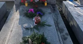 Galerie foto - poza 2