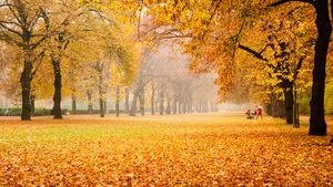 METEO 20 OCTOMBRIE: Vreme frumoasă în toată ţara