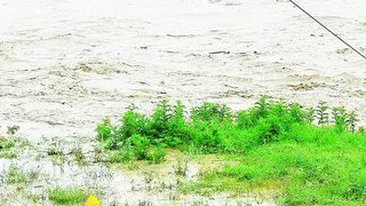 Dupa TVA, viitura scumpeste mancarea cu 8%