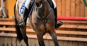 Galerie foto - poza 4