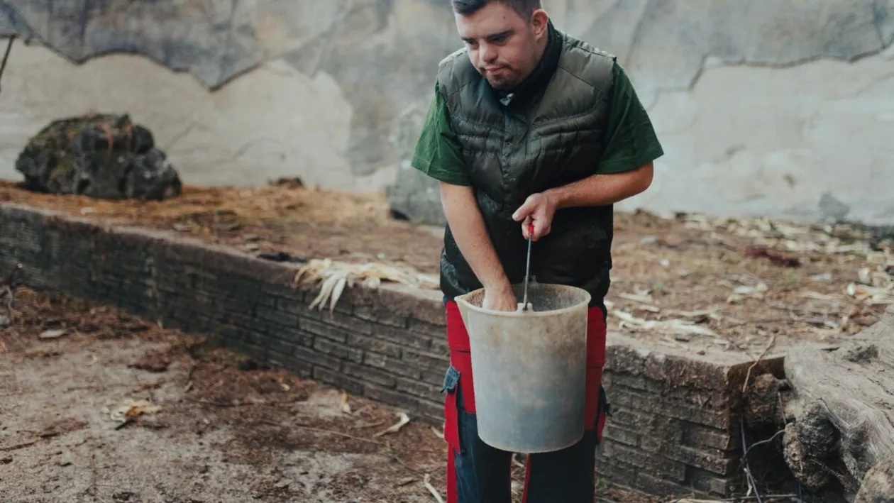 Un român plecat la muncă în străinătate se revoltă: „Suntem sclavii Europei!”