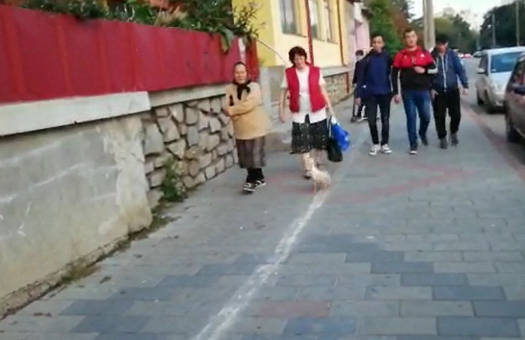 Fabulos! O bătrână din Botoșani a ieșit cu o rață la plimbare prin oraș. Cum a reușit să scape fără să fie amendată de polițiștii care au verificat-o