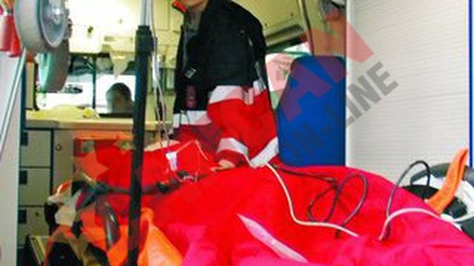 "Sotia mea s-a luptat cu leul ca sa il salveze pe Tudor!"