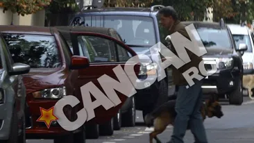 Cel mai bun prieten! Este aproape de Cornel Dinu in momentele cele mai grele din viata