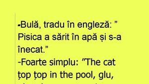BANC | "Bulă, tradu în engleză: Pisica a sărit în piscină și s-a înecat"