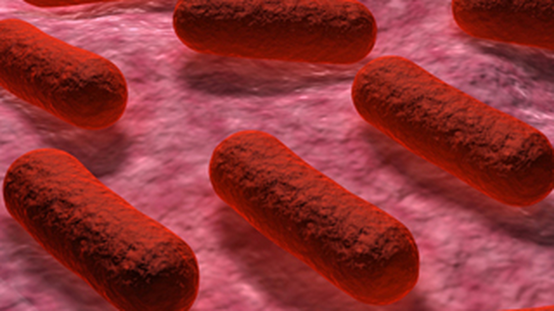O femeie cu sindrom hemolitic si uremic generat de bacteria E.coli a murit in Franta