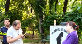 Galerie foto - poza 4