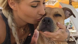 Familia Andreei, tânăra care a murit într-un accident rutier săptămâna trecută, apel disperat pe Facebook. Câinele victimei a dispărut de la locul accidentului: „Pentru liniștea sufletului ei, vom continua să o căutăm!”