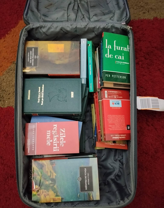 O femeie din București a transformat scara blocului într-o bibliotecă. Proiectul a atras curioși din tot cartierul