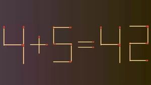 Test IQ cu chibrituri | Mutați 2 bețe de chibrit, pentru a corecta 4+5=42