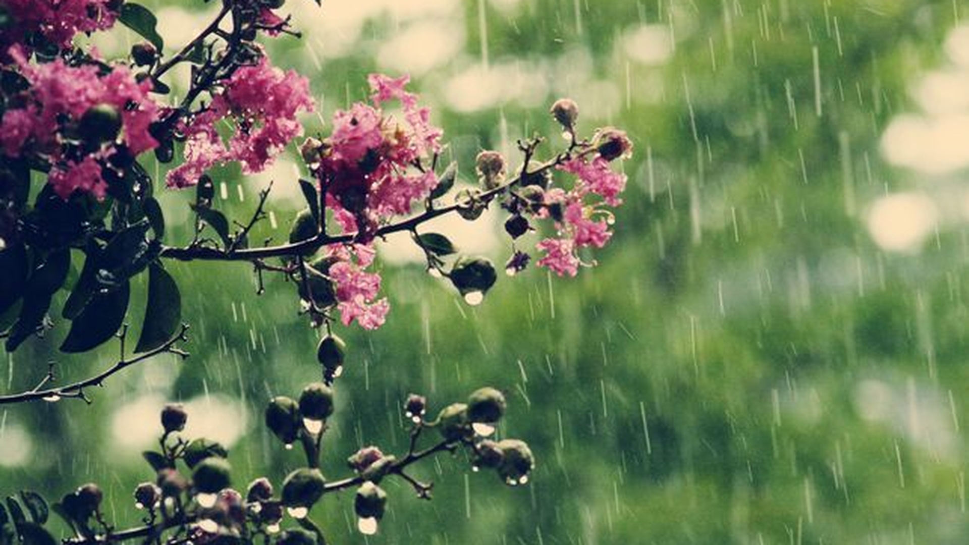 METEO 26 MAI. Nu uitaţi umbrelele. Ploile vor fi prezente şi azi 