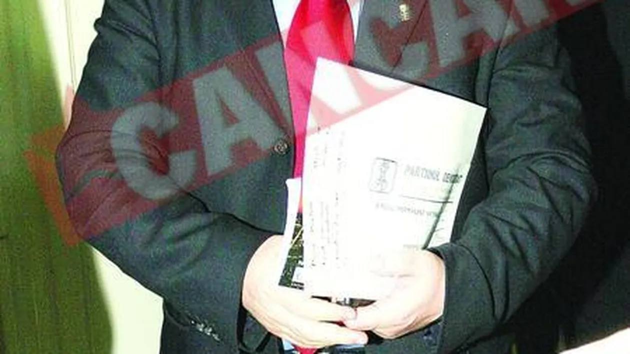 Boc uraste gastele si ii plac desenele animate