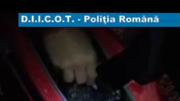 VIDEO Aproape 3 kilograme de cocaina si heroina, in valoare de 60.000 de euro, confiscate in Timis