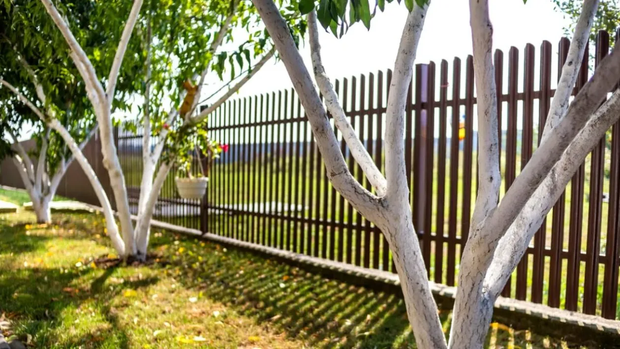 Ce pățesc proprietarii de case care încalcă linia de hotar. Ce distanță trebuie respectată