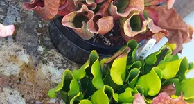 Galerie foto - poza 3