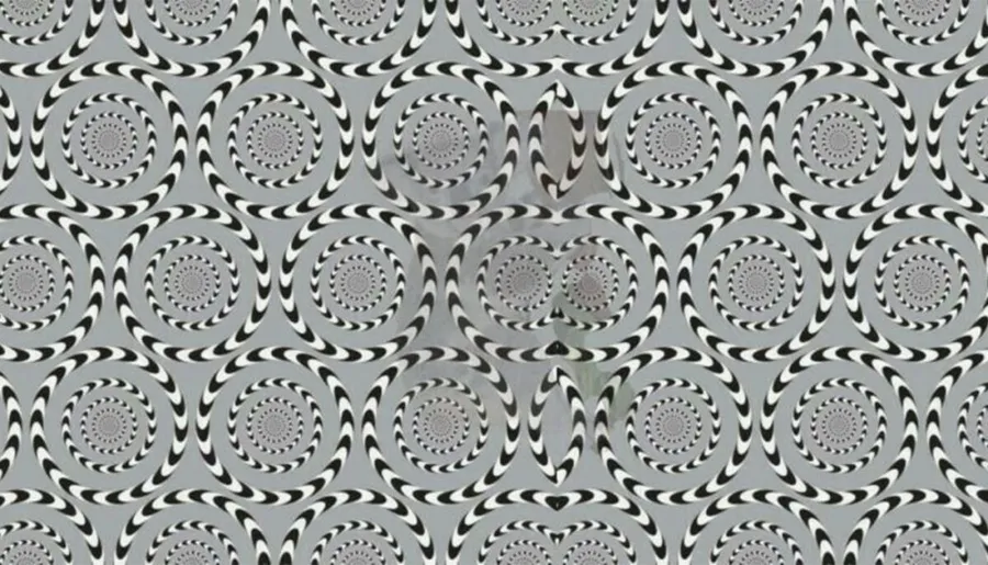 Test de inteligență