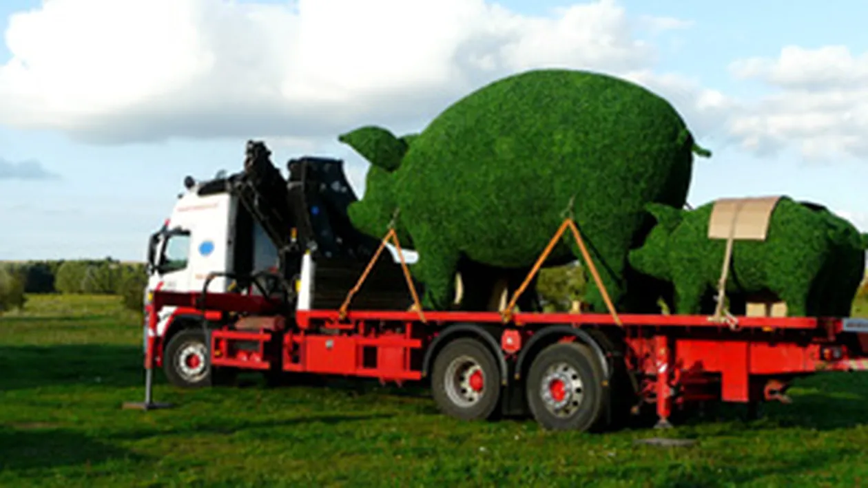 Printul Charles are tufisuri-purcei in curte