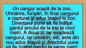 BANCUL ZILEI | Un cangur scapă de la zoo