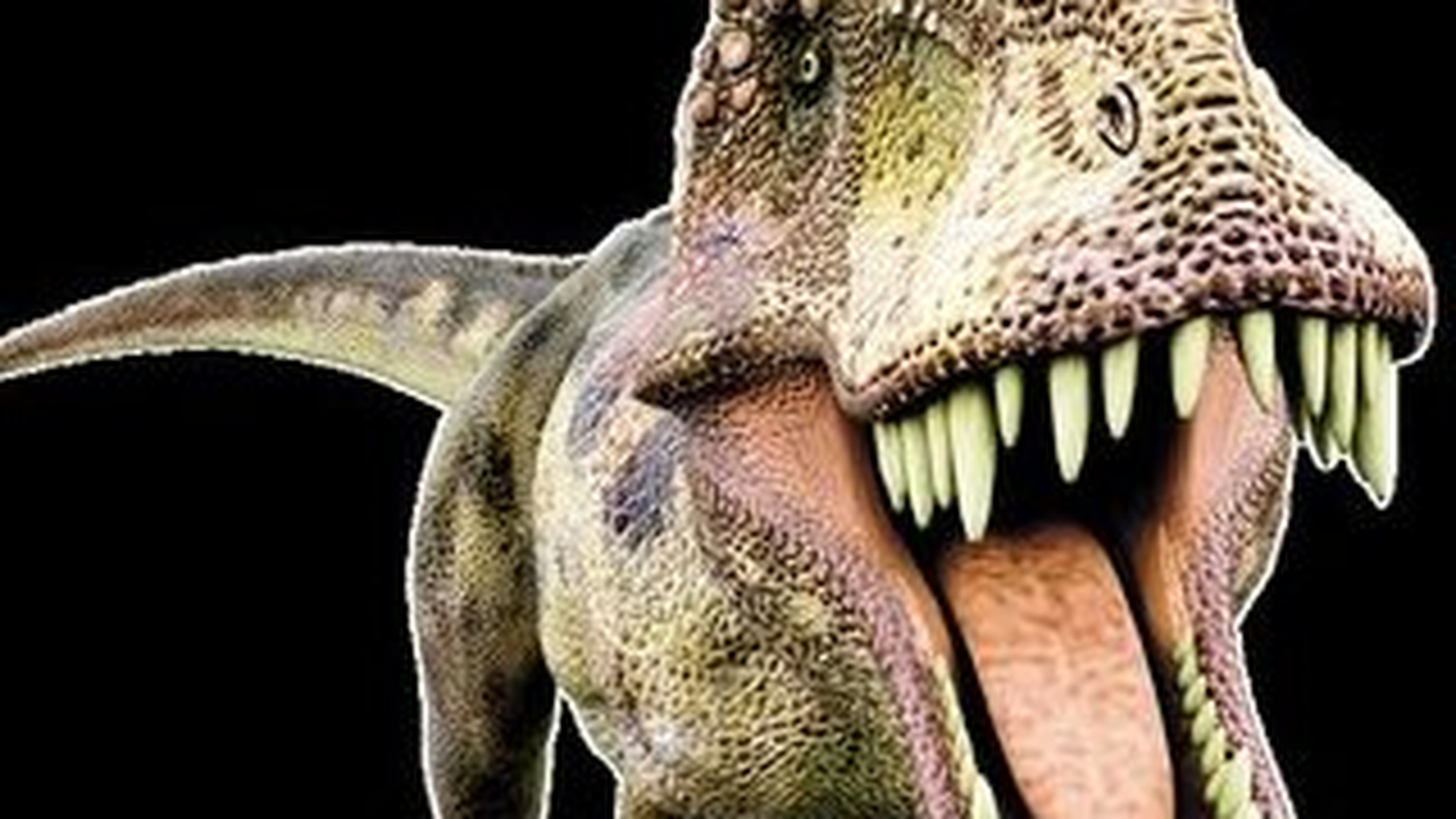 Cat cantareau dinozaurii