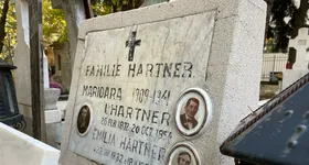 Galerie foto - poza 3