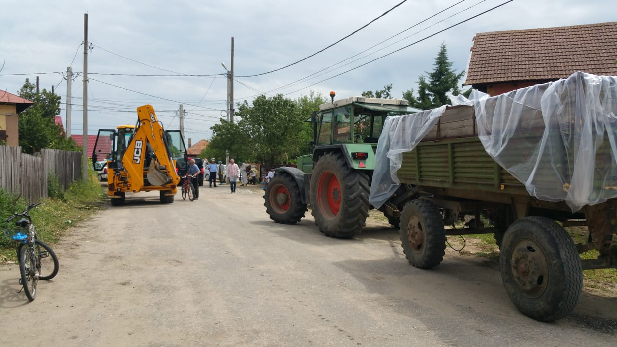 Pesta porcină se întoarce