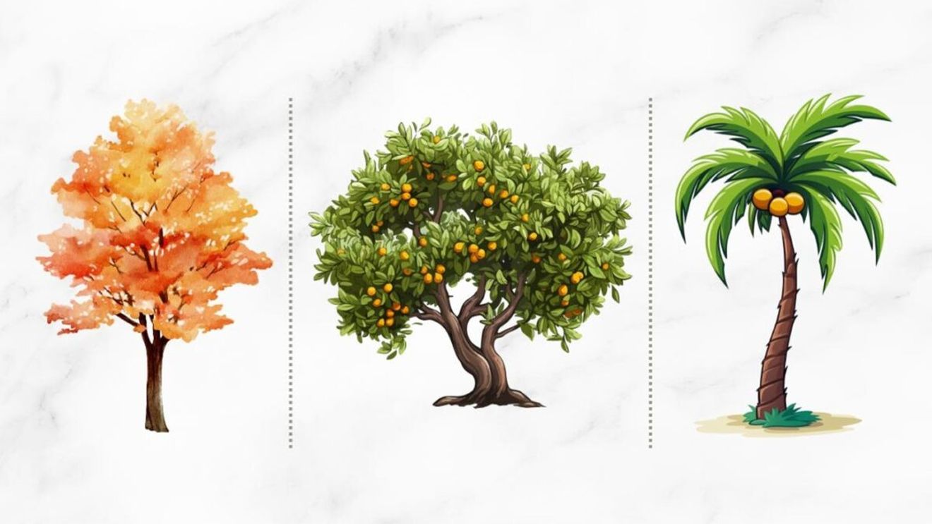 Cel mai tare test psihologic | Alege un copac! Răspunsul îți va dezvălui cel mai mare talent