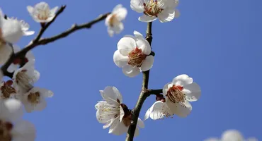 Vremea se schimbă radical în Săptămâna Mare! ANM a actualizat prognoza meteo: cum va fi de Paște