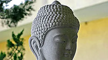 Incredibila poveste a Unchiului Tom din Bucuresti! Liderul unor traficanti de cannabis s-a convertit la budhism