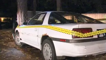 Vecinii au sunat rapid la Poliţie, după ce au văzut un bărbat izbit de un copac în urma unui accident de maşină. Scenele desprinse din filmele de groază aveau însă un alt adevăr în spate