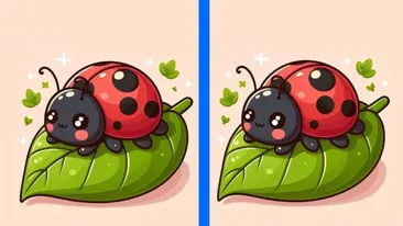 TEST IQ | 3 diferențe în maximum 29 de secunde: Le puteți descoperi pe toate?