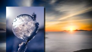 Zăpada de bere, fenomenul rar care s-a abătut asupra Europei. România ar putea fi următoarea țară pe listă, în ce condiții se manifestă fenomenul