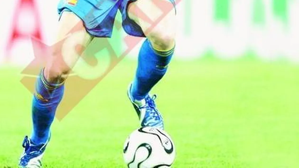 O avere pentru Fernando Torres