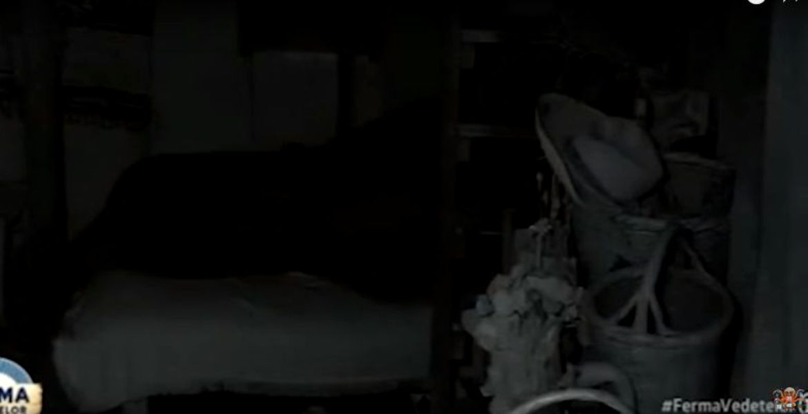 Maria Constantin și Marcel Toader au făcut amor la Ferma de la Pro TV