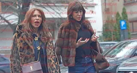 Galerie foto - poza 2