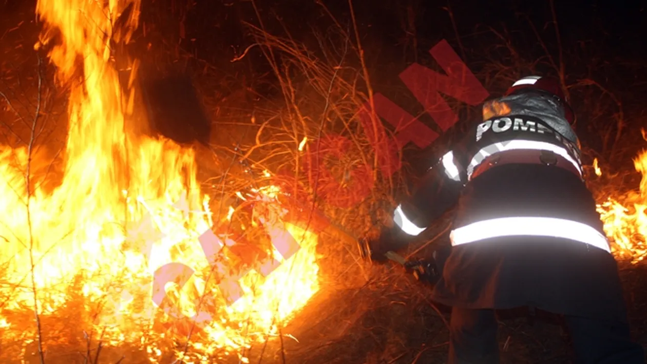 Peste o suta de hectare de vegetatie uscata au fost facute scrum in Caras-Severin