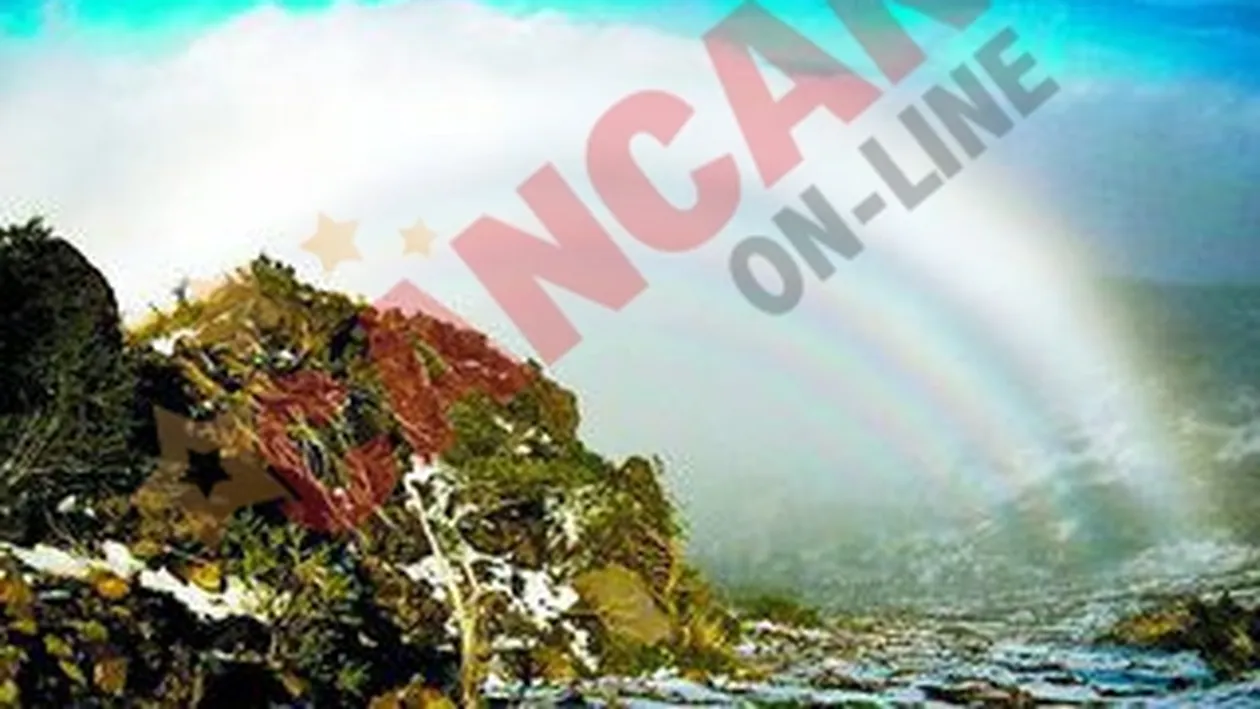 Romanul asta chiar e bun!