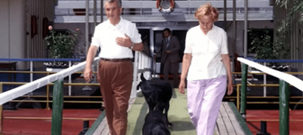 Soarta tragică a câinilor soților Ceaușescu, după moartea cuplului: În timpul fostului regim erau hrăniți cu biscuiți englezești, aduși prin poșta diplomatică