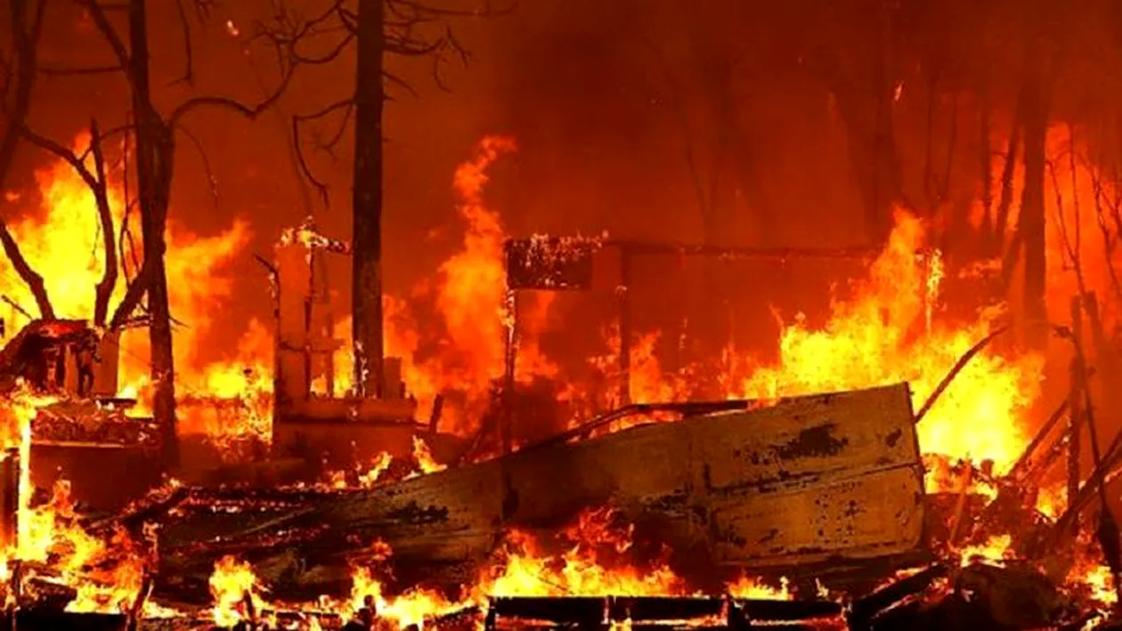 Incendiu devastator în California! 29 de kilometri pătraţi au fost mistuiți de flăcări. Totul a pornit de la focurile de artificii de la o petrecere