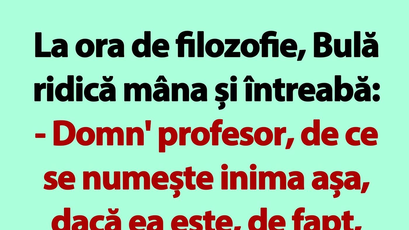 BANC | La ora de filozofie, Bulă ridică mâna și întreabă