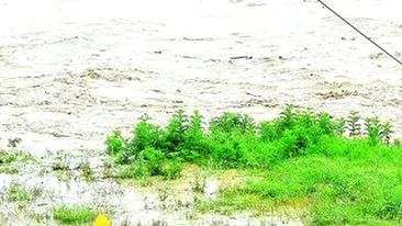 Dupa TVA, viitura scumpeste mancarea cu 8%