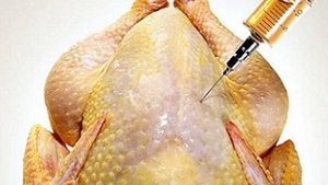  CUM RECUNOŞTI PUII INJECTAŢI SCOŞI LA VÂNZARE ÎN MAGAZINE