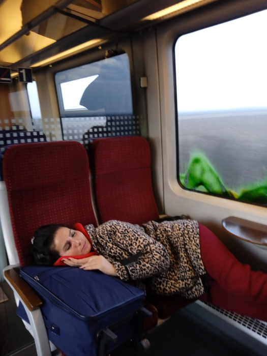 Imagini uluitoare cu artista din Banat. Daniela Ploia, dată jos din tren de conductor, în picioarele goale