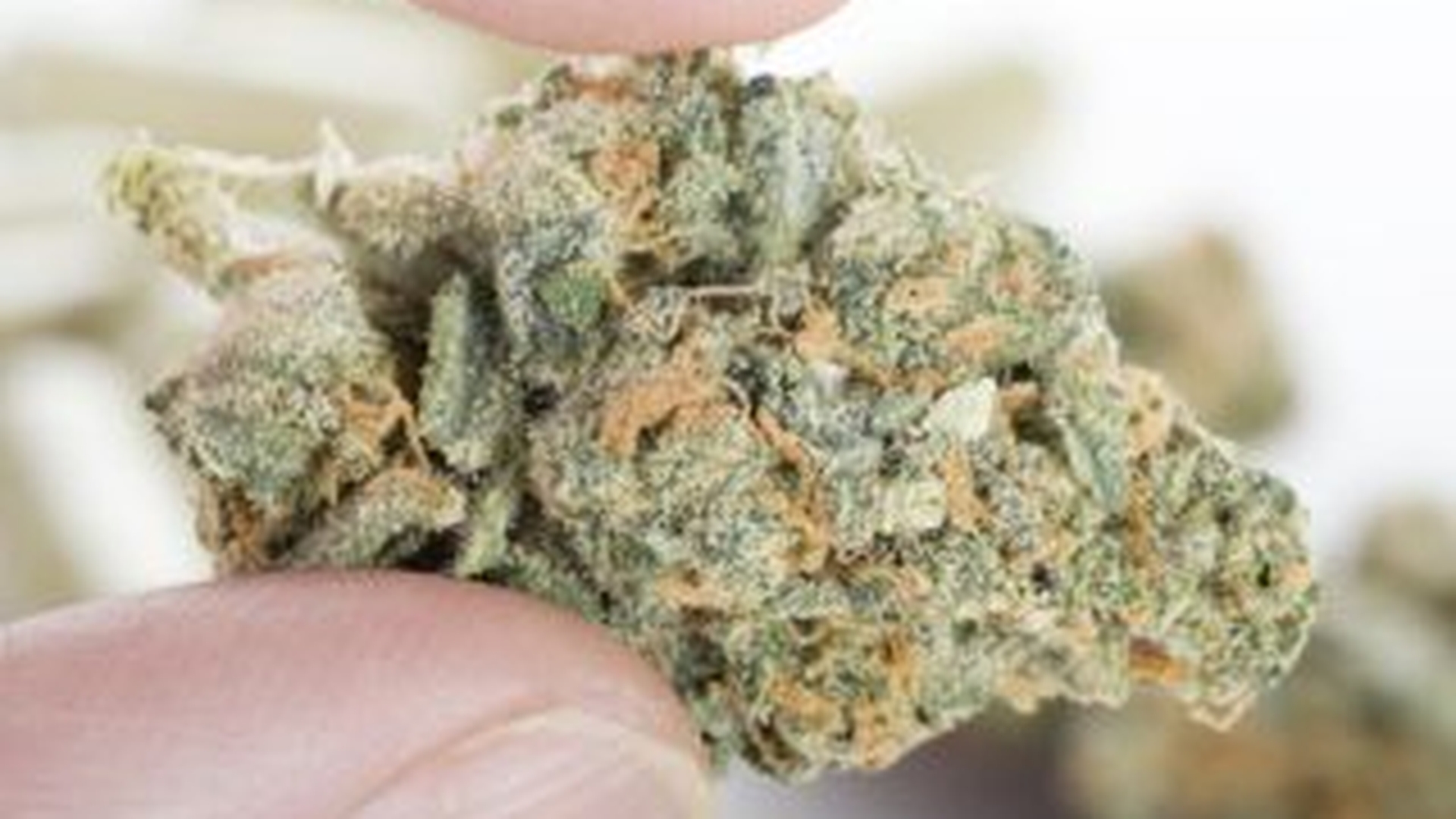 Un barbat a fost prins in flagrant in Brasov, in timp ce incerca sa vanda 500 de grame de cannabis