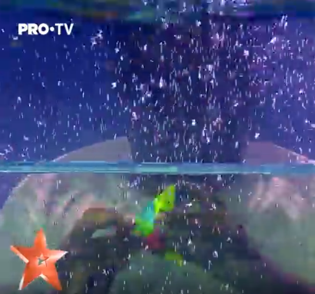 Încă un număr de senzație la Românii au talent: a intrat în bazin și a rezolvat sub apă 10… VIDEO