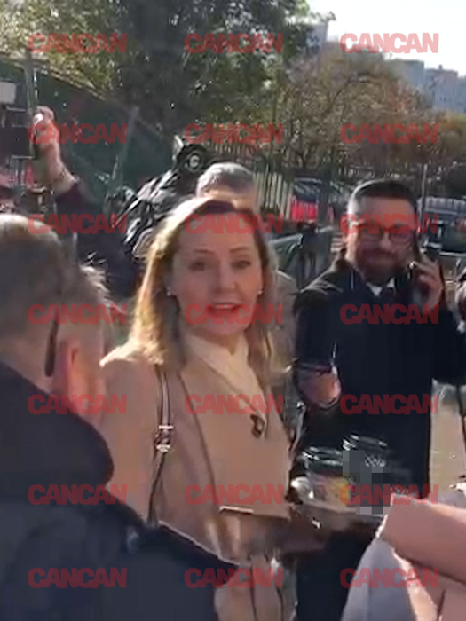 Iulia Albu, despre ținuta purtată de Elena Lasconi. Foto: Cancan