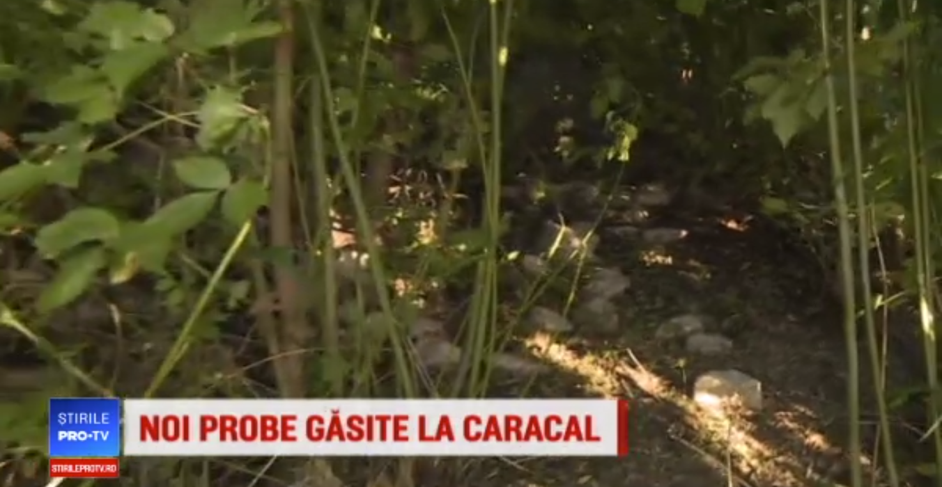 Imagini din pădurea în care Gheorghe Dincă a aruncat trupul Luizei. Detaliul șocant descoperit de anchetatori
