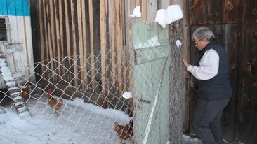 Mama FNI, dezvaluiri incredibile la 13 ani de la prabusirea Fondului National de Investitii! Ce avere are Ioana Maria Vlas