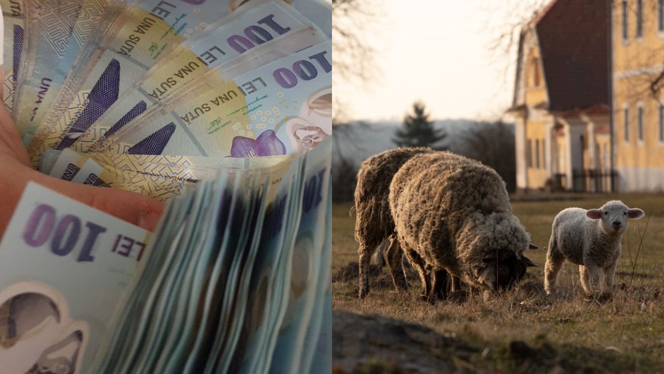 Cât va costa carnea de miel în 2026. Alimentul se scumpește înainte de Paște