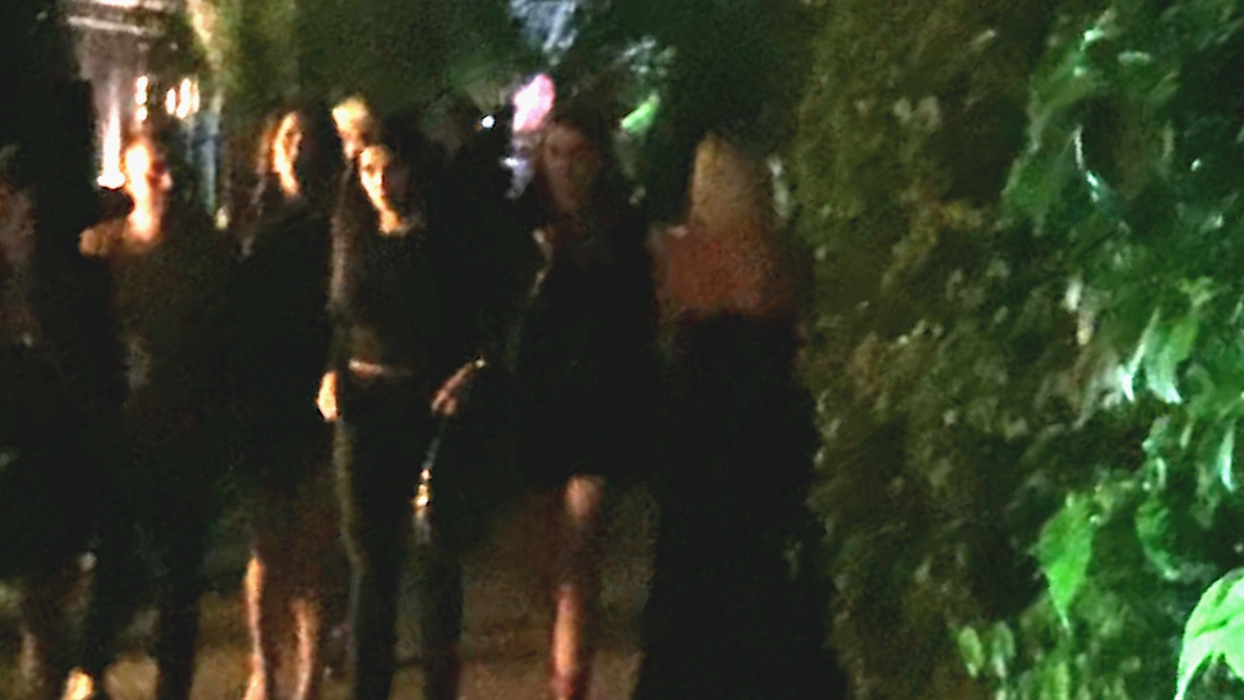 Elena Băsescu a fost la un restaurant din parcul Herăstrău, alături de câteva prietene