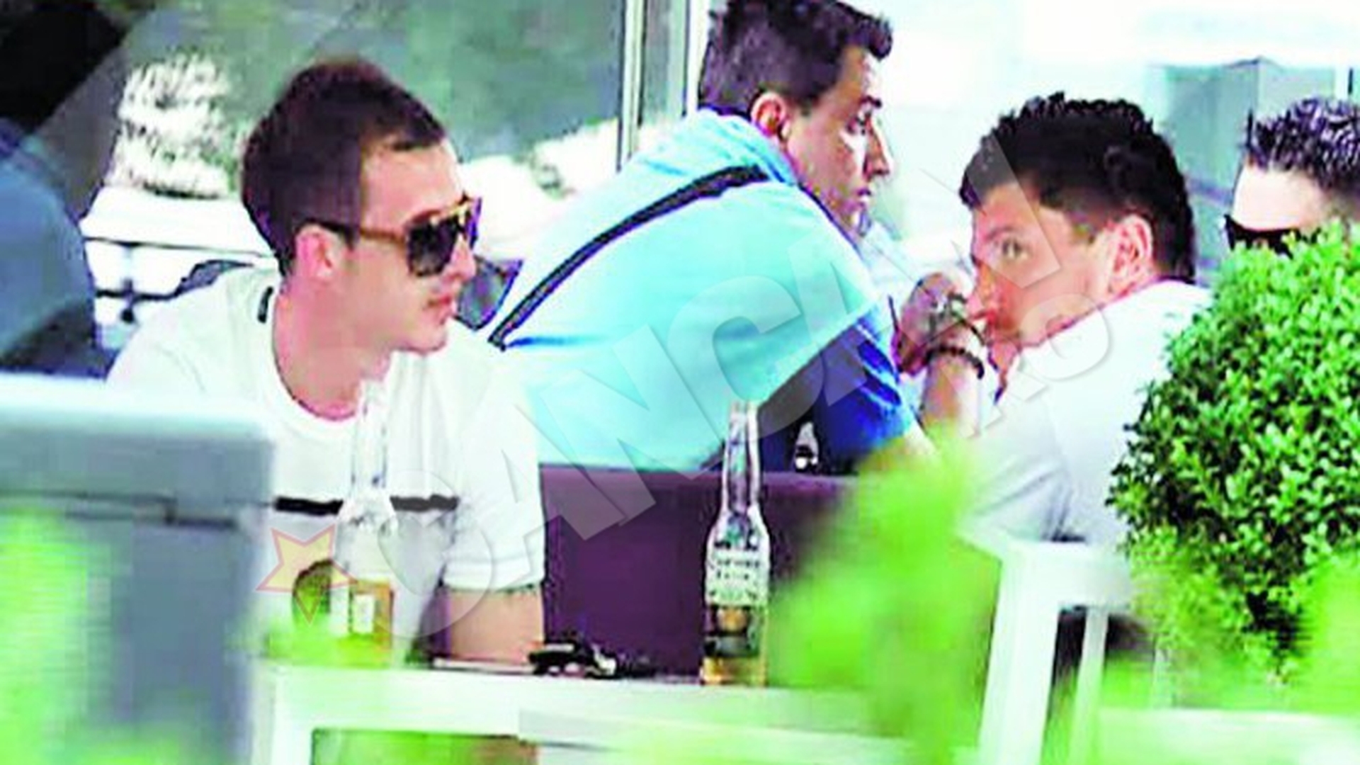 "Motanu" si "Dodel", caterinca la o bere mexicana